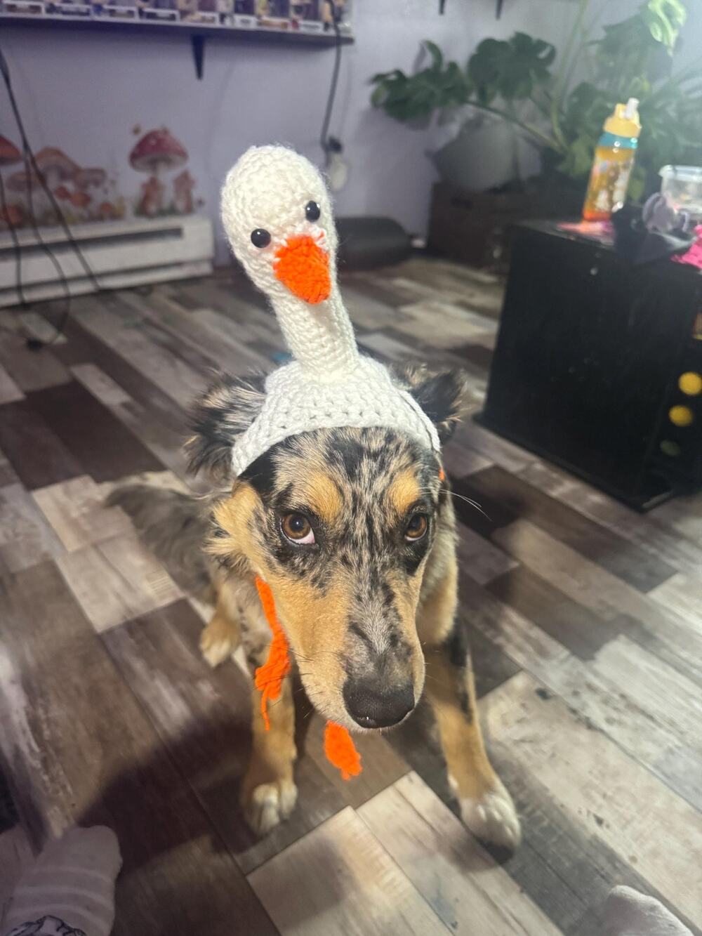 Handmade Crochet Goose Hat for Dogs and Cats, Pet Costume Accessory